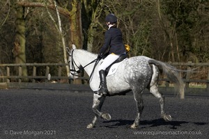 Novice 22